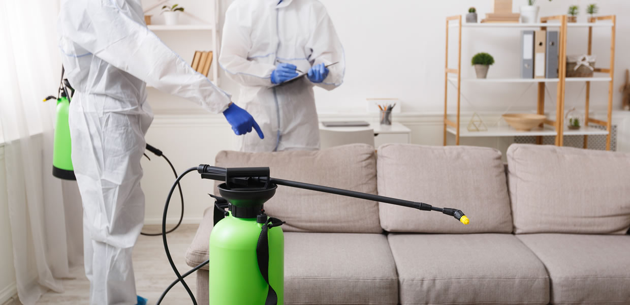 Trauma & Bio - hazard cleaning
